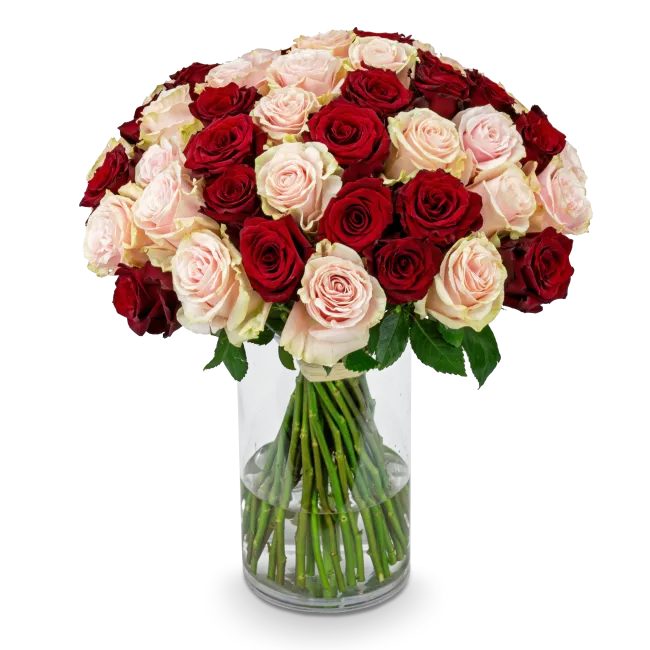 Bouquet of pink and red roses
